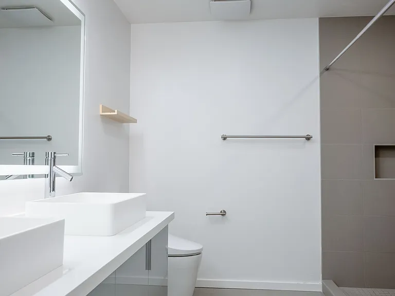 Primary Bathroom with skylight