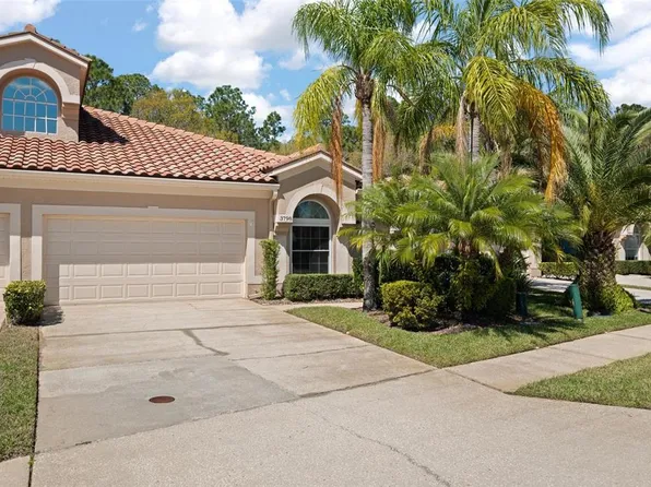 3798 Darston St, Palm Harbor, FL 34685