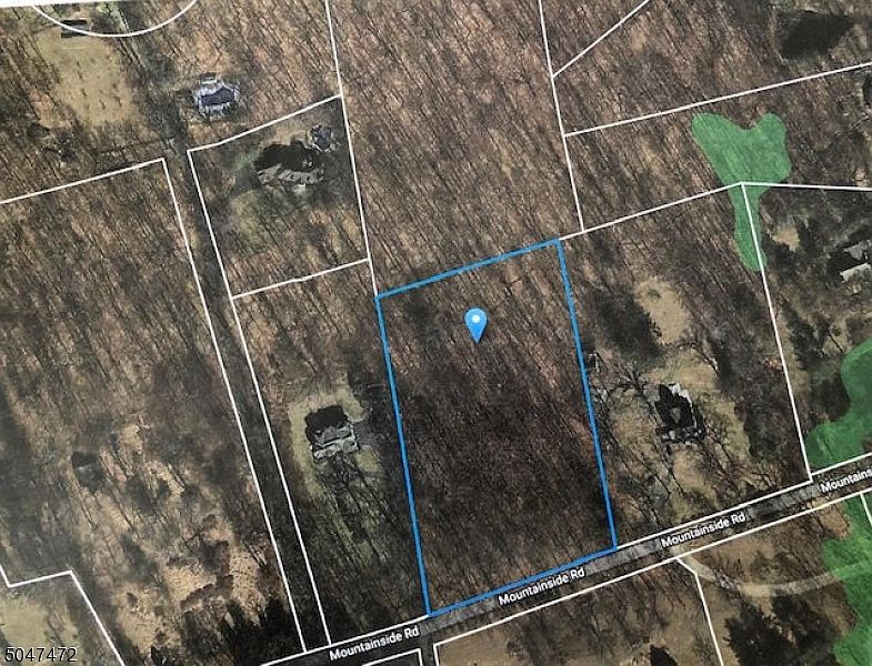 2nd image of 225 Mountainside Rd