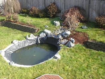 5th image of 227 87th Ave SE