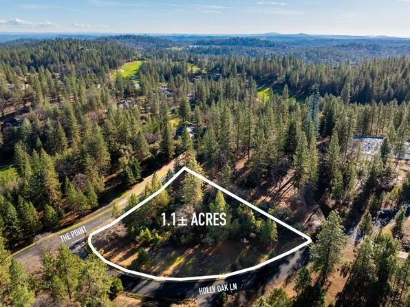 6005 Holly Oak Ln, Meadow Vista, CA 95722