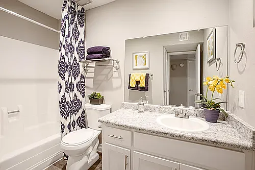 Stonegate Furnished Apartments — Photo 37