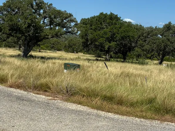 62 NW S Walcott Ridges Drive LOT 62, Harper, TX 78631