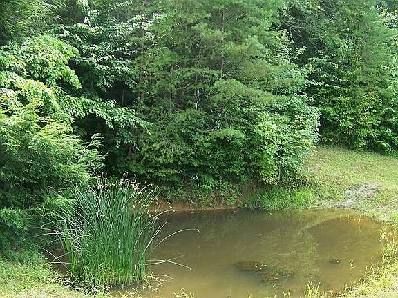 Pond on property for sale