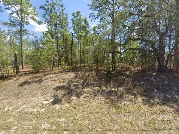 2551 W Sheila Dr, Citrus Springs, FL 34433