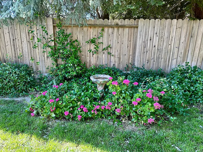 390 Brians Ct — Photo 15