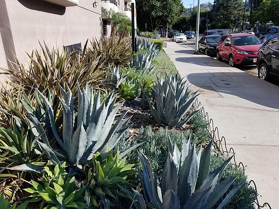 5th image of 3932 Laurel Canyon Blvd #221N