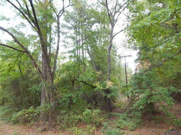 70-70.78 Red Maple Rd, Big Sandy, TX 75755