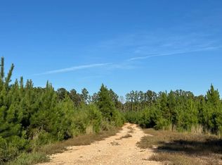 2966 Pinckney Rd, Chester, SC 29706