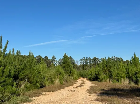 2966 Pinckney Rd, Chester, SC 29706