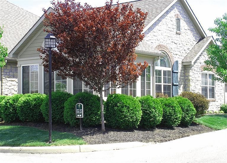 1st image of 2389 Locust Hill Blvd