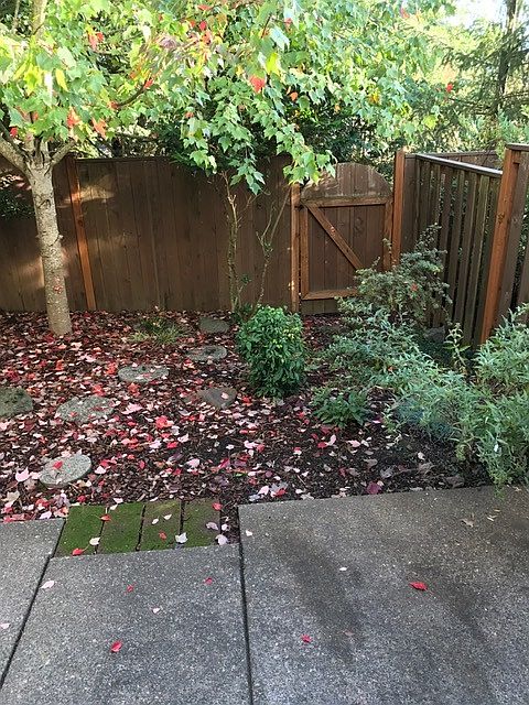 Quiet yard with patio