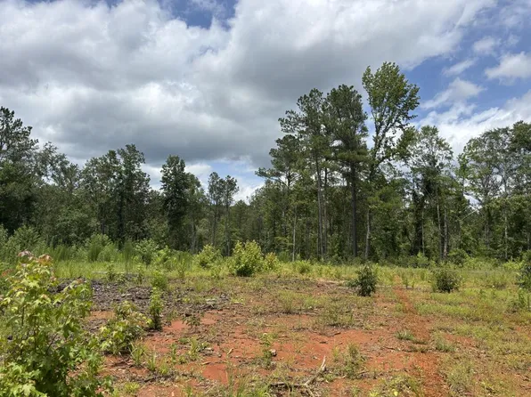 0 County Road 53, Banks, AL 36005