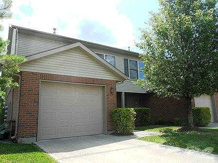 20 Robinwood