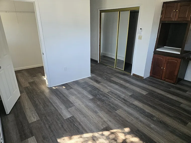Master bedroom with walk-in closet
