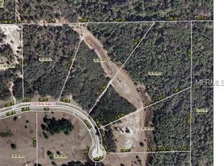 22171 Deer Park Ave, Eustis, FL 32736