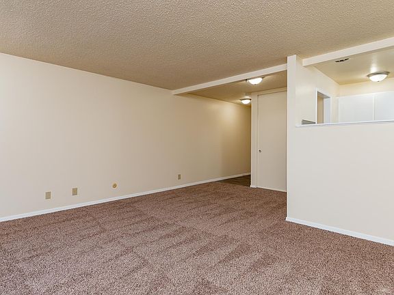 Raleigh Scholls | Living Room