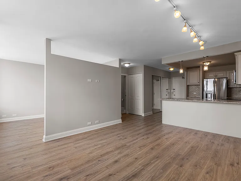 1355 N Sandburg Ter #1403D — Photo 4
