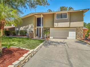 18419 Swan Lake Dr, Lutz, FL 33549