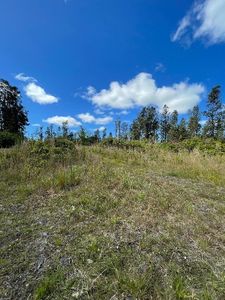 16-1447 Uhini Ana Rd Lot 2565, Mountain View, HI, 96771