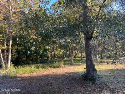 1820 Heron Watch Drive SW, Supply, NC, 28462