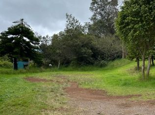 380 Hapapa Rd, Kula, HI 96790
