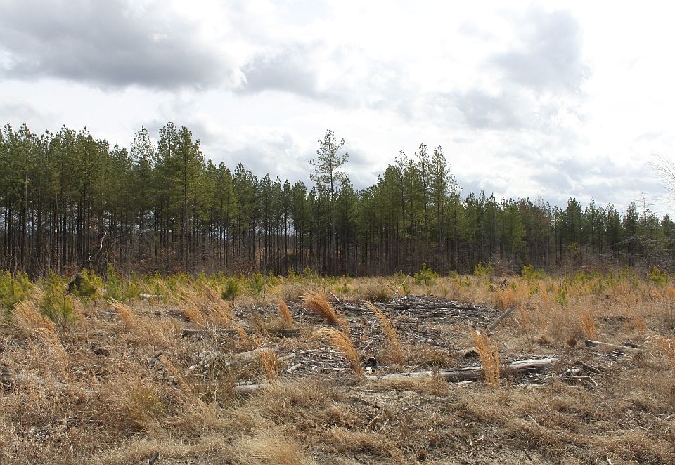2nd image of Mountain Laurel Rd