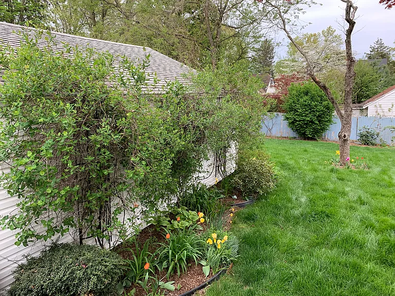 37 Spring Garden St — Photo 7