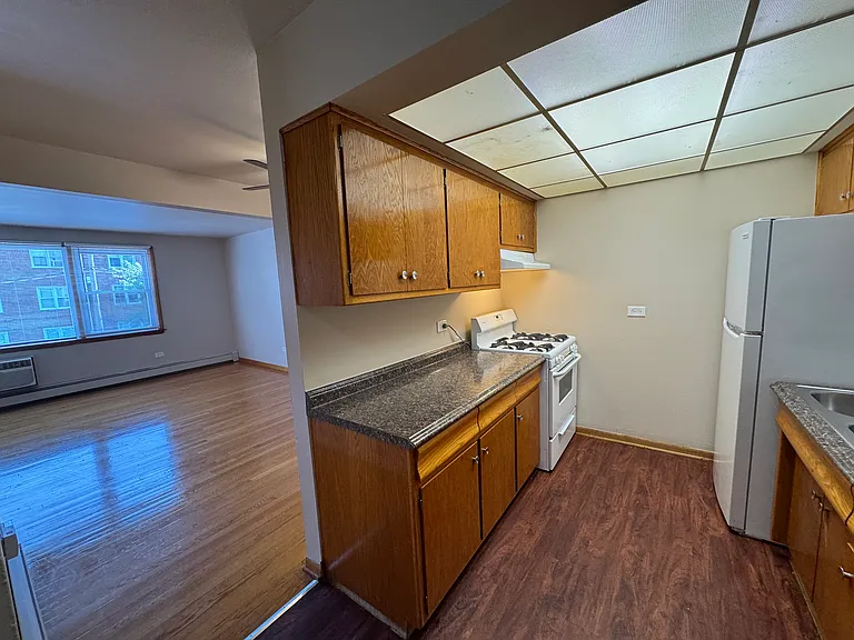 10743-10749 S Pulaski Rd #11 — Photo 9