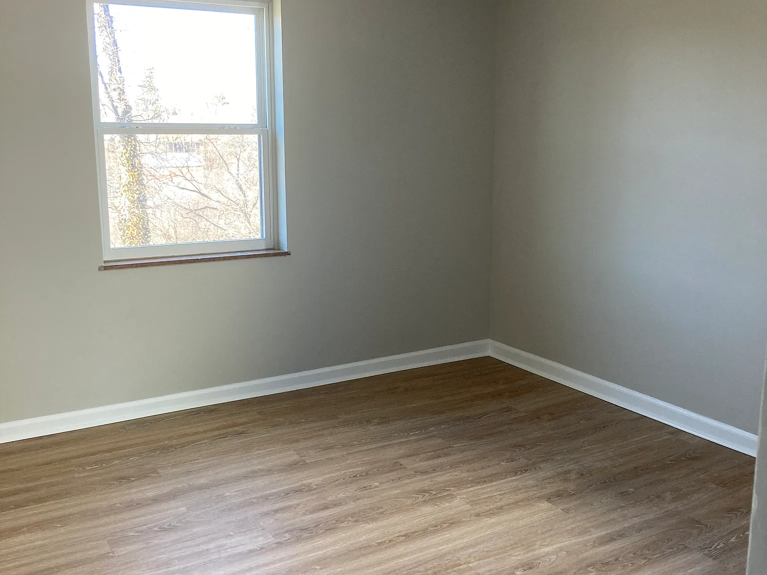 1 bed, $1,150 — Photo 3