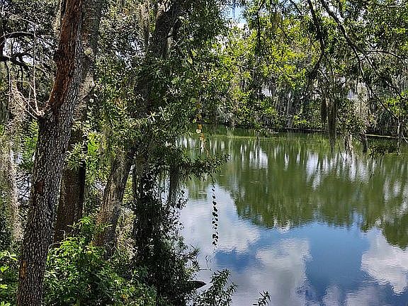Serene, private view of lake from home.