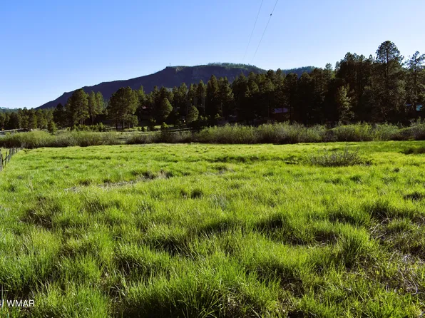 8 N 2062nd, Alpine, AZ 85920