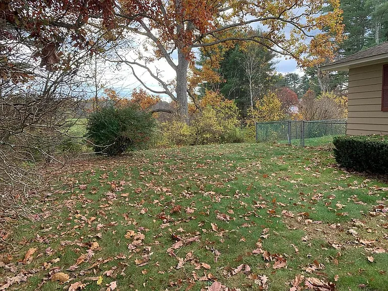 11 Carlton Rd — Photo 3