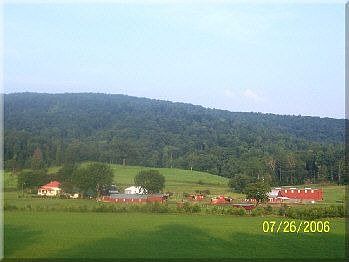 Farm in Summer