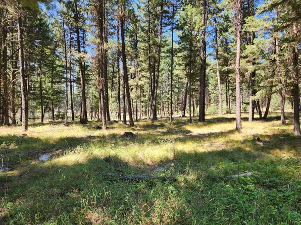 Nhn Conifer Dr, Huson, MT 59846