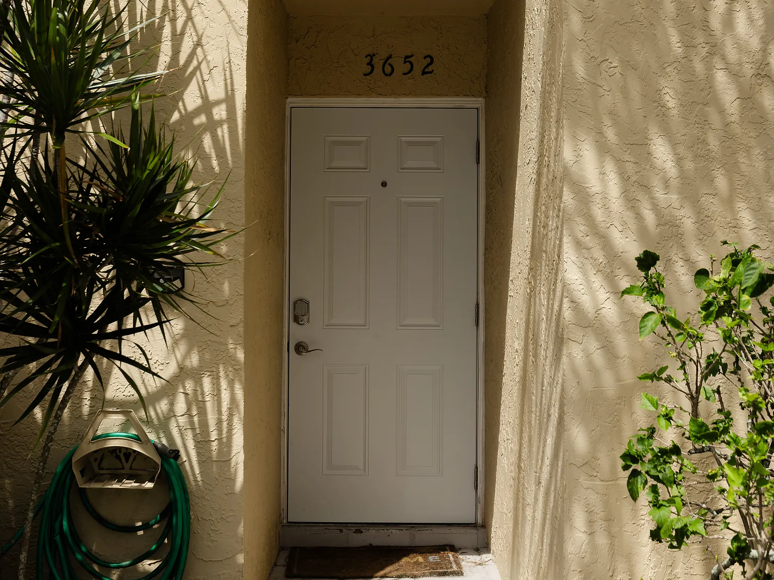 2 bed, 1087 sqft, $2,600 — Photo 2