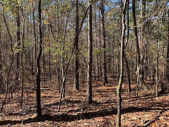 5th image of 0 Campbellton Redwine Rd #A