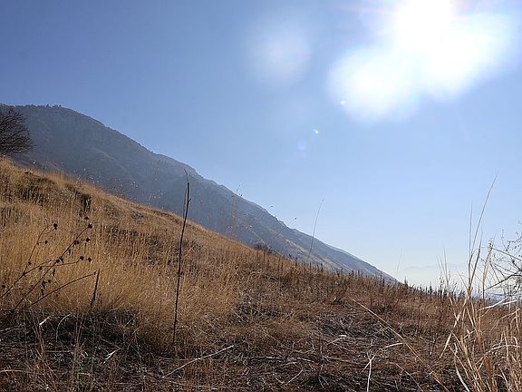 2nd image of 1495 N Oak Ridge Cir