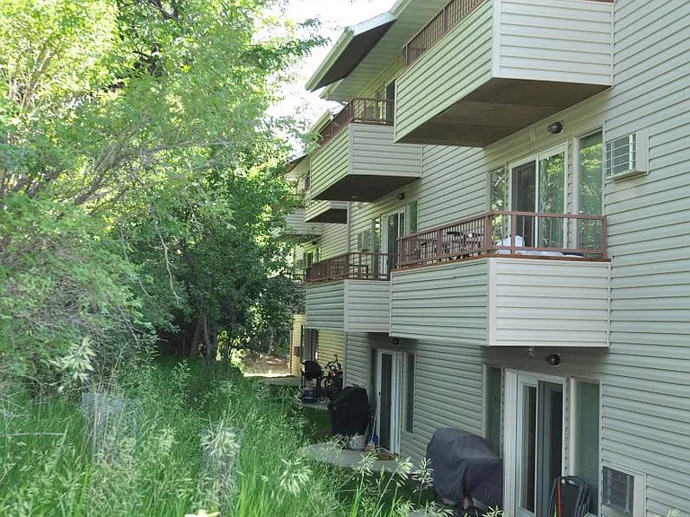 views of established landscaping, older growth
