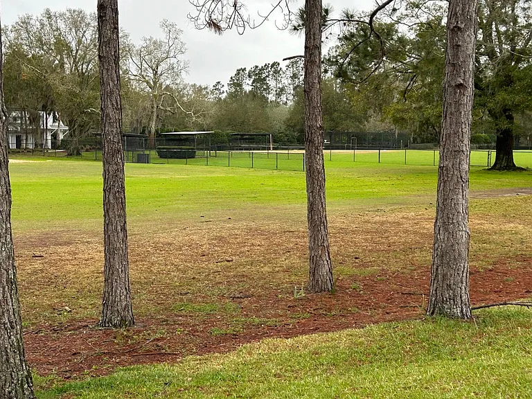 785 Oakleaf Plantation Pkwy #714 — Photo 10