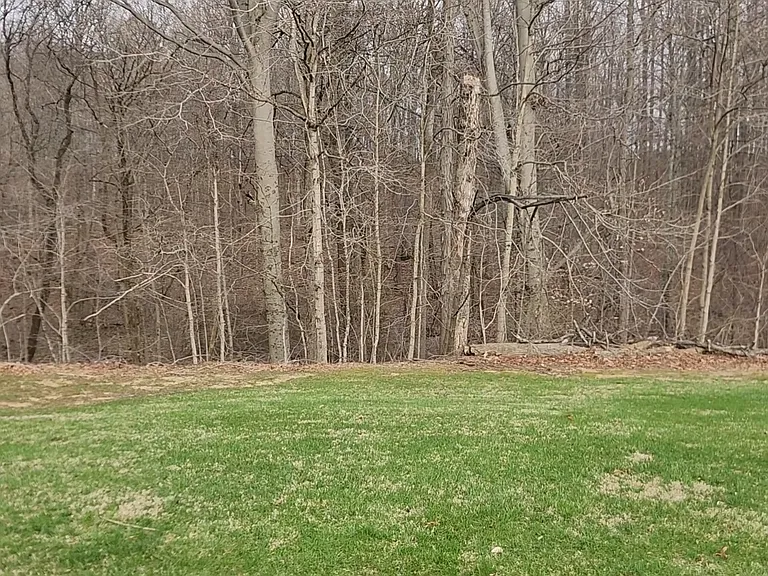 4283 N Willow Grove Rd — Photo 5