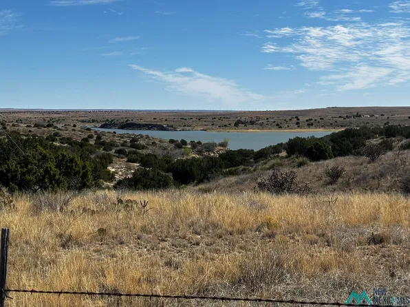 State Route 203, Fort Sumner, NM 88119