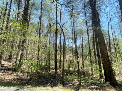 LOT 2 Mountain Meadows Rd, Franklin, NC, 28734