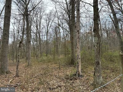 6751 Beverly Rd, Broad Run, VA, 20137