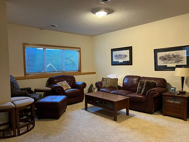 Lower Level Family Room