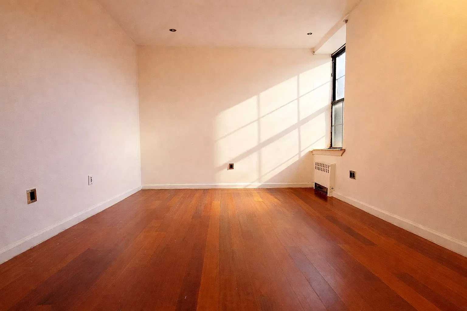 51 Eldert Street — Photo 3