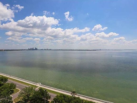 5th image of 4201 Bayshore Blvd Unit 1401