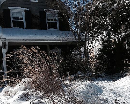 Winter garden