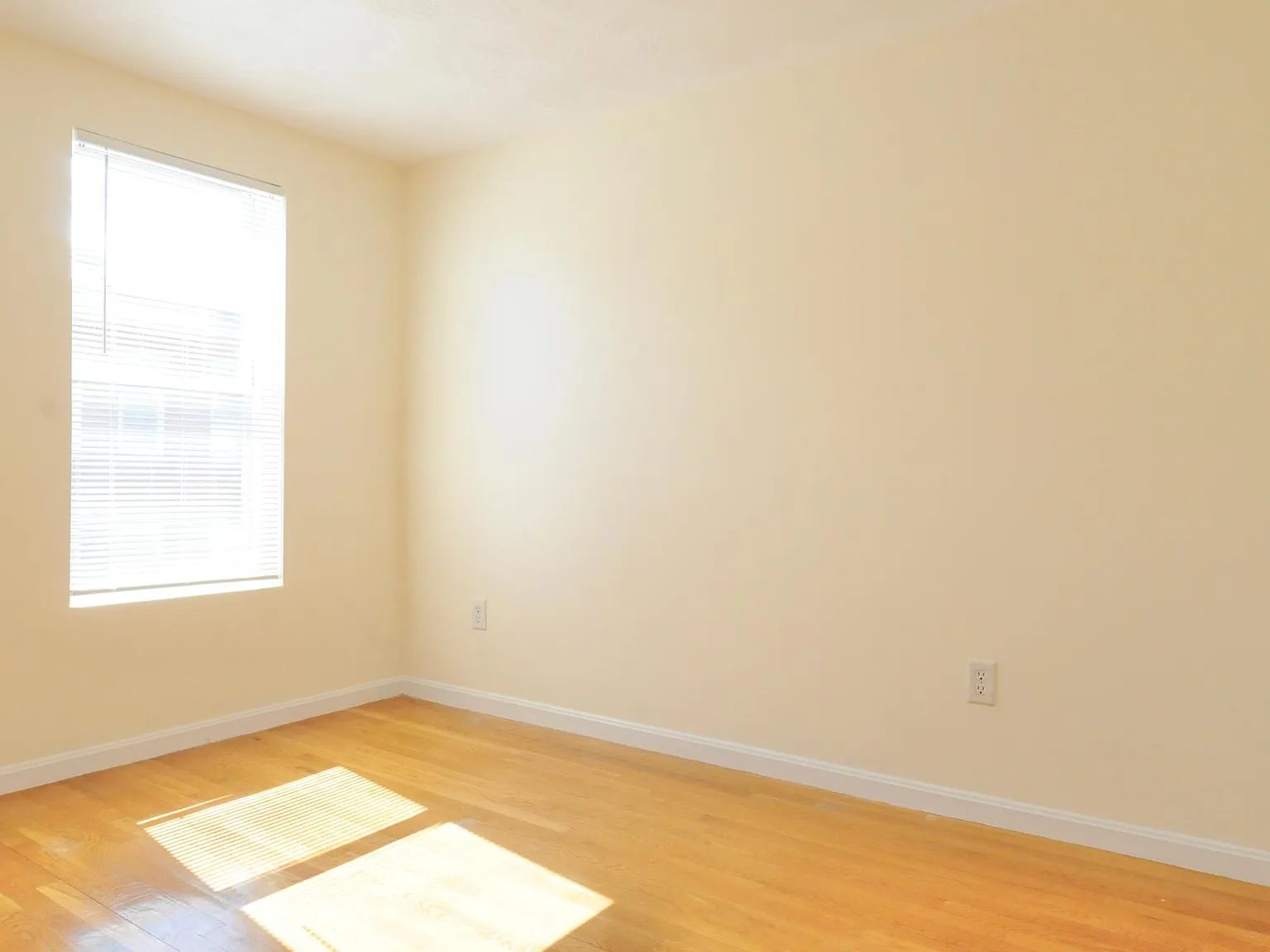 174 Maverick Street — Photo 3