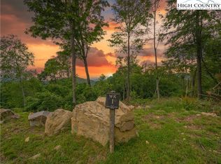 WR1 Sierra Trail, Elk Park, NC 28622